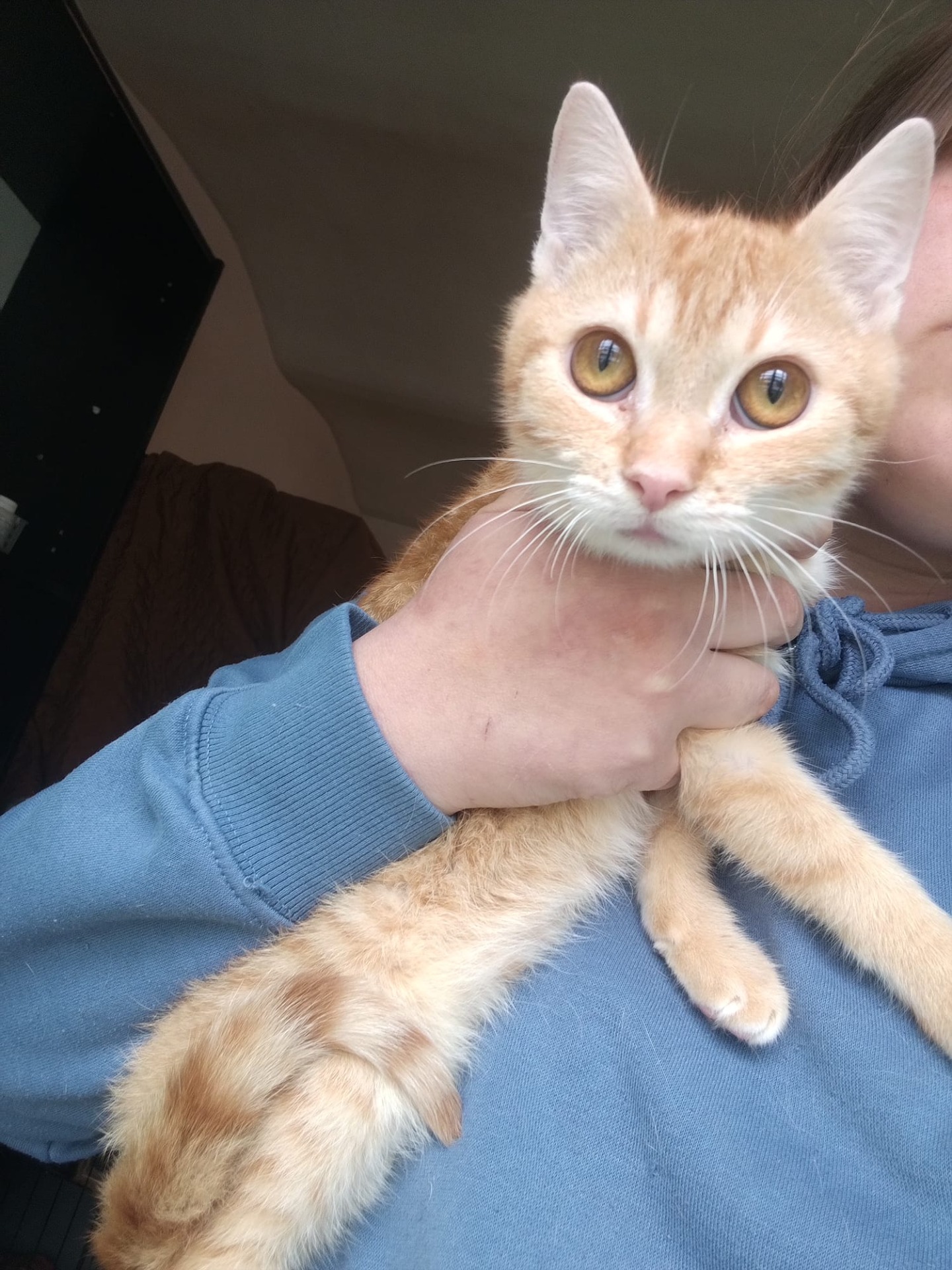 Mono bude k adopci po kastraci.